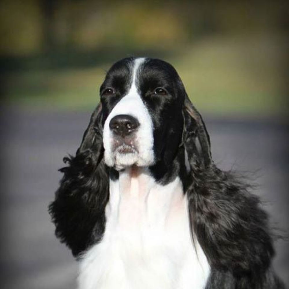 Meet your Posher, Kathie